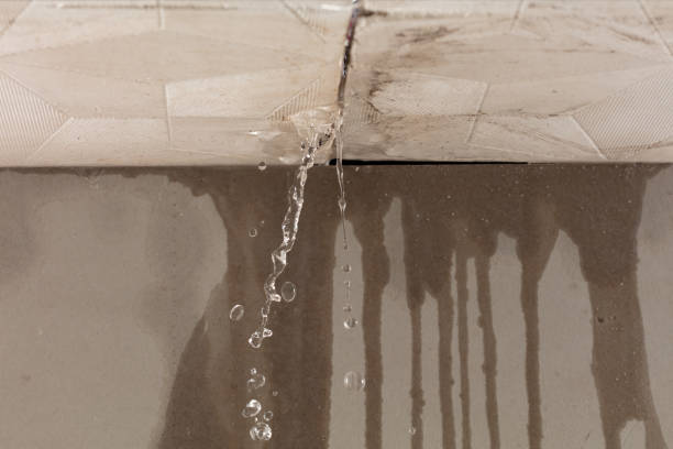 Professional Flood Damage Cleanup technician working in Millfield, OH
